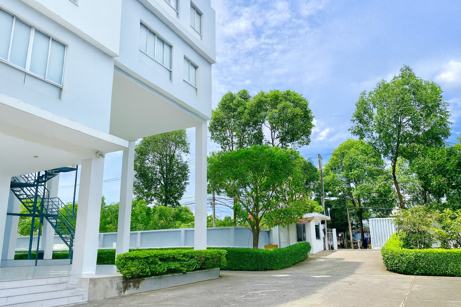 ChatGPT Image 09_56_01 8 thg 10, 2025